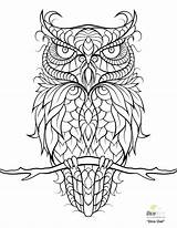 Coloring Pages Owl Unicorn Color Abstract Detailed Cute Burrowing Cartoon Baby Getcolorings Owls Print Printable Getdrawings Colorings sketch template