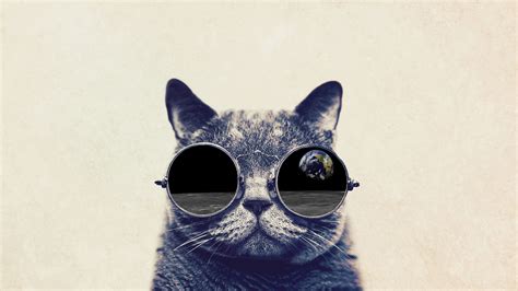 download cat with glasses wallpaper gallery