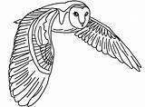 Owl Flying Barn Coloring Pages Drawing Realistic Cartoon Printable Tawny Eule Owls Schleiereule Malvorlage Color Getdrawings Gemerkt Von Coloringpages Kauz sketch template