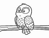 Branch Owl Coloring Coloringcrew sketch template