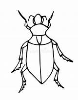 Bug Doodle Drawn sketch template