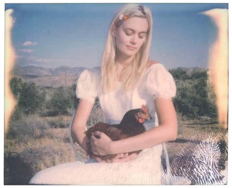 Stefanie Schneider Chicken Madonna Chicks And Chicks And Sometimes
