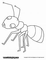 Ant Coloring Pages Kids Drawing Preschoolers Cliparts Fire Preschool Clipart Getdrawings Print Favorites Add sketch template