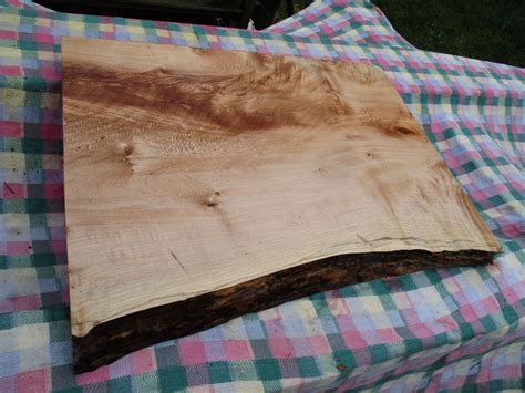 hobby wood figured maple double  edge neat  etsy