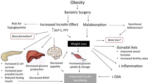 Endocrine Implications Of Bariatric Surgery A Review On The