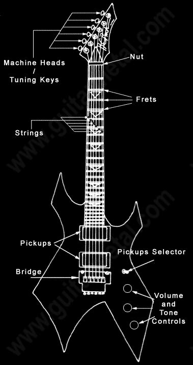 parts   guitar guitar diagram guitar metal