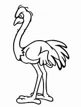 Ostrich Coloring Pages Drawing Printable Template Kids Print African Olive Angry Clipart Animal Colouring Color Templates Getdrawings Getcolorings Colorings Library sketch template