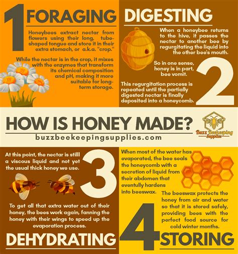 bees  honey artofit