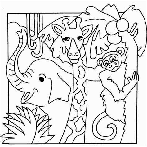 blank jungle animals coloring pages
