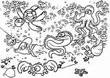 Underwater Coloring Pages Scene Printable Color Cartoon Beautiful Wecoloringpage Library Clipart Designlooter Illustration Getcolorings Getdrawings Popular 830px 1172 65kb sketch template