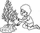 Coloring Tree Boy Pages Caring Arbor Color sketch template