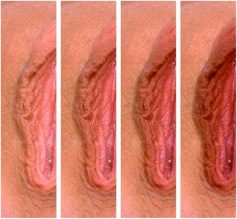 right labium minus of vulva base image no 2 the 4 diff open i