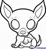 Chihuahua Coloring Pages Dog Drawing Puppy Puppies Cute Chihuahuas Printable Draw Kids Color Cartoon Drawings Step Animal Imagixs Colouring Bing sketch template
