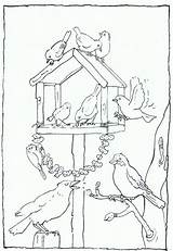 Kleurplaat Vogels Kleurplaten Feeder Feeding Voeren Parel Winterknutsels Designlooter Voederhuisje Book Downloaden Uitprinten sketch template
