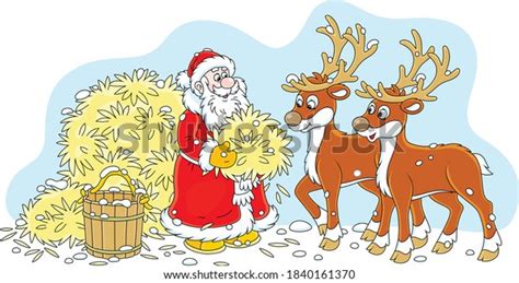 santa claus feeding reindeer tasty hay stock vector royalty free