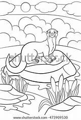 Otter Coloring Pages Stands Cute Little Shutterstock Vector Stock Preview sketch template