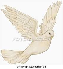 image result  doves drawing dove drawing drawings drawing images