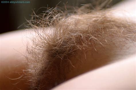 abby winters girl hairy pussy porn pictures