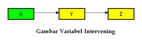 variabel intervening  moderating  analisis jalur maglearningid