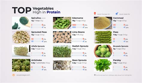 high protein vegetables rezfoods resep masakan indonesia