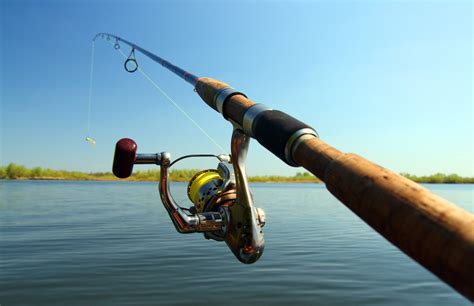 choose  fishing rod  complete guide