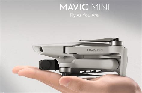 mavic mini    read  review