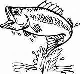 Clipart Bass Fish Cliparts Coloring Pages Library Fishing sketch template