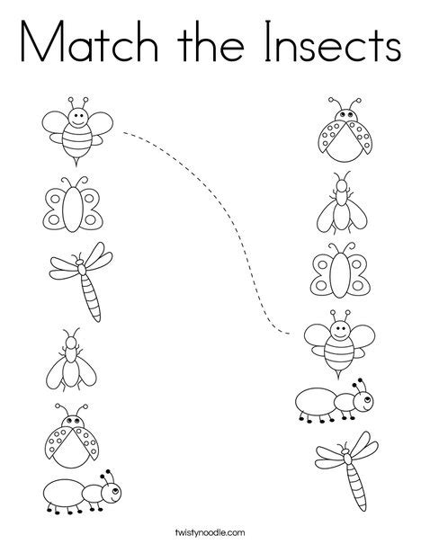 match  insects coloring page twisty noodle