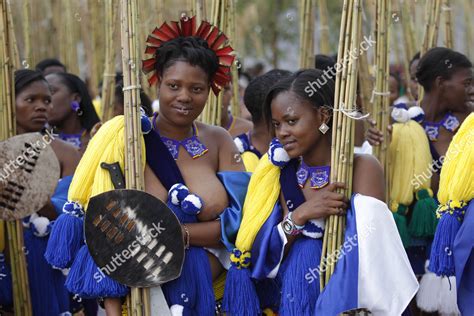 swaziland ladies men ordered  marry    wives