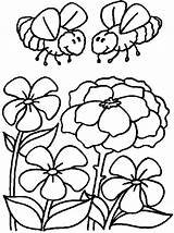 Bees Coloring sketch template
