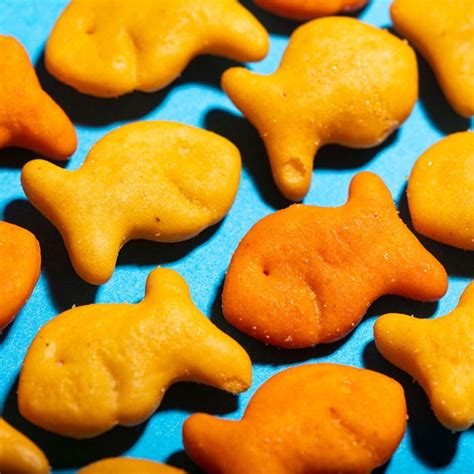 goldfish    cracker