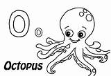 Octopus Pulpo Pieuvre Everfreecoloring Coloriage sketch template
