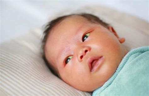 infant jaundice  harmful     birth injury guide