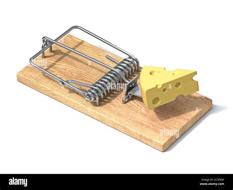 mouse trap cheese high resolution stock photography  images alamy