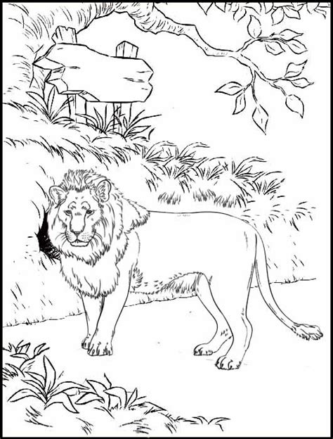 lion  zoo coloring page mitraland