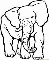 Coloring Elephant Pages Kids Printable Print sketch template