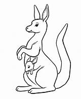 Coloriage Kangaroo Kangourou Kangourous Kangaroos Poche Promenade Coloriages Enfant sketch template
