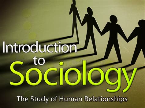sociology   study  human relationships edynamic learning