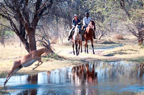 thamalakane river ride ride botswana riding holiday in botswana far