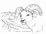 Sheep Dahl sketch template