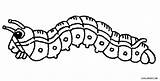 Caterpillar Coloring Pages Drawing Catapillar Printable Kids Cool2bkids Getdrawings sketch template