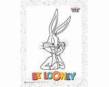 Looney Tunes Pages Warnerbros sketch template
