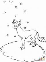 Coyote Ulula Howling Mond Ausmalbilder Ausdrucken Supercoloring sketch template