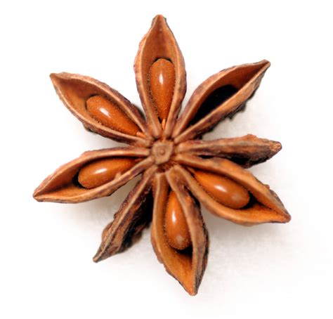 star anise facts  health benefits