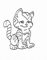 Pisica Colorat Planse Pisici Desene Gatti Disegni Animale Imagini Jocuri Colorare Imaginea Adulti Educative Trafic Dolcezza Segno Usate Matite Vengono sketch template