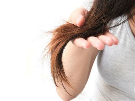 treat hair breakage  natural remedies