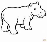 Hippo Coloring Drawing Pages Outline Hippopotamus Easy Baby Kids Cartoon Colouring Printable Color Paintingvalley Supercoloring Getcolorings Getdrawings Cute Drawings sketch template