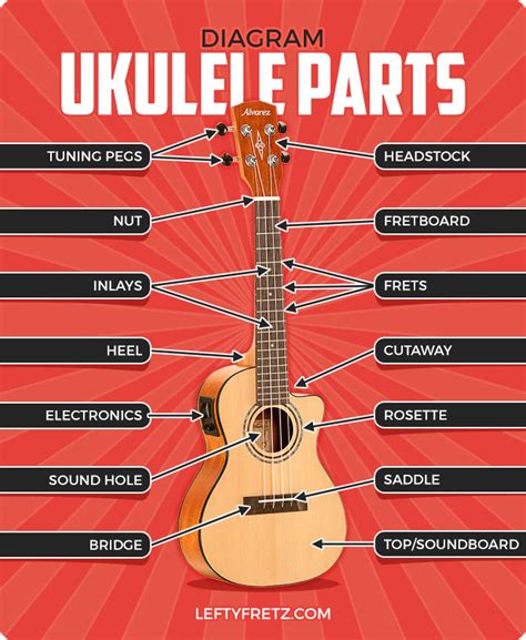 parts   ukulele explained  helpful diagrams