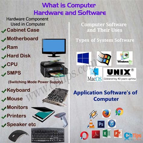 computer hardware  software   examples