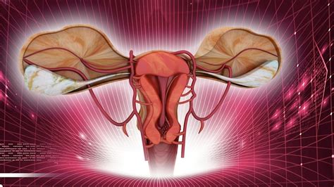 Swedish Doctors Carry Out First Successful Mother Daughter Uterus